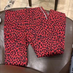 Zara Animal Print Pants